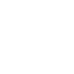ce logo Mountain View