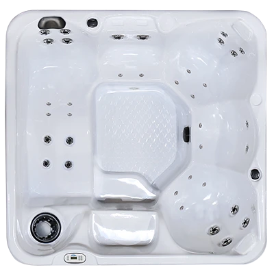 Hawaiian PZ-636L hot tubs for sale in Mountain View